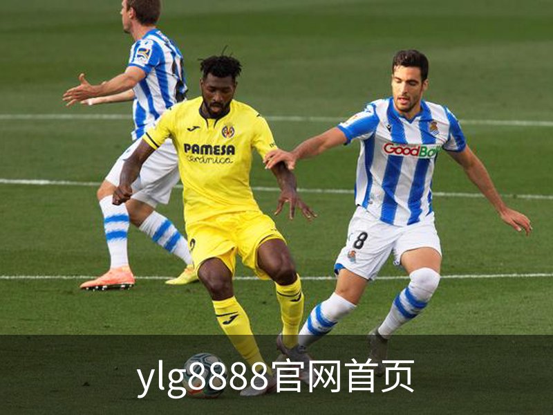 ylg8888官网首页概况